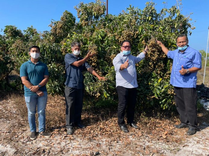 Hendrus (dua, kanan) dalam lawatan ke Ladang Longan Berlian di Rhu Tapai, Setiu, Terengganu