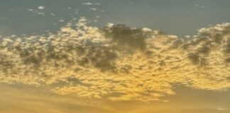 The Price of Power in Sabah – Ewon Benedick’s rise now faces the challenge of reforming native rights and governance transparency