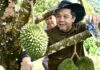 Sabah sasar tingkat eksport durian premium ke China