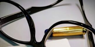 Freedom of Information: A Lifeline for Malaysia’s Democracy