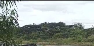 Parti PERPADUAN desak Ewon campurtangan hentikan serta merta lombong pasir Sungai Kadamaian