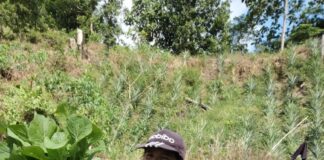 International Women’s Day – Retired Lofina Justin showcases the sacrifices made by women throughout their lives