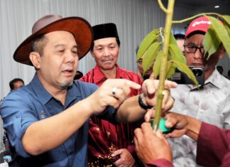 Ranau perkasa industri durian, lembaga khas dicadang bantu pekebun – Jamawi