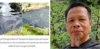 Pencemaran sungai ancam usaha ‘Kebun Dapur’ rakyat