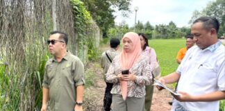 Jamawi tinjau projek tebing runtuh, pengairan sawah di Melalap