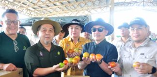 Local agricultural entrepreneurs help reduce food imports – Jamawi