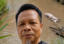 Discarding Livestock Carcasses in Rivers Poses Major Risk to Public and Environment – NGO