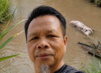 Discarding Livestock Carcasses in Rivers Poses Major Risk to Public and Environment – NGO