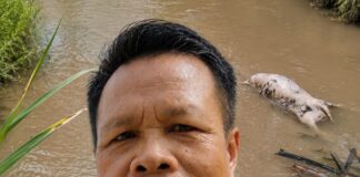 Pembuangan Bangkai Ternakan Ke Sungai – Ancaman Serius Terhadap Rakyat dan Alam Sekitar – NGO