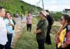 29 lembu korban diagih di Melalap