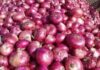 SABAH TOP ONION STATE BY 2030?” — GRAND HEADLINES MUST NOT HIDE ECONOMIC REALITY
