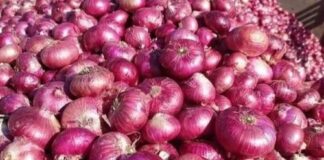 SABAH TOP ONION STATE BY 2030?” — GRAND HEADLINES MUST NOT HIDE ECONOMIC REALITY