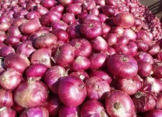 SABAH TOP ONION STATE BY 2030?” — GRAND HEADLINES MUST NOT HIDE ECONOMIC REALITY