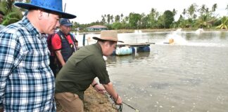 Kerajaan Negeri bantu pengusaha udang Beaufort tingkat pengeluaran