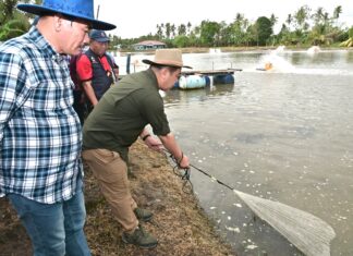 Kerajaan Negeri bantu pengusaha udang Beaufort tingkat pengeluaran