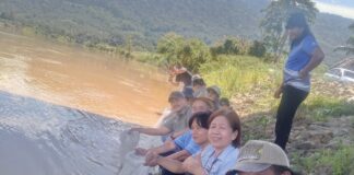 Benih siakap, udang galah dilepaskan di Sungai Padas