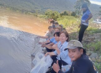 Benih siakap, udang galah dilepaskan di Sungai Padas