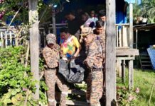 Crocodile attack claims man’s life during boat cleaning