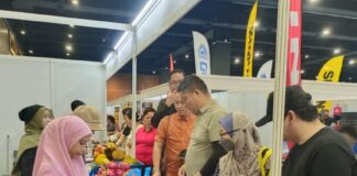 50,000 expected to attend largest agro expo SAEX 2026