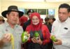 Petani, penternak Sabah diminta bersedia hadapi cuaca panas berpanjangan
