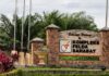 GRS, THE RECORDS ARE IN YOUR HANDS: PUBLISH THE FELDA LAND AGREEMENTS AND TELL SABAHANS WHAT WE ACTUALLY RECEIVED