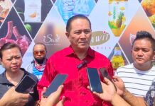 “We hope additional parliamentary seats for Sabah and Sarawak are not merely a gimmick” says Victor P. Paut