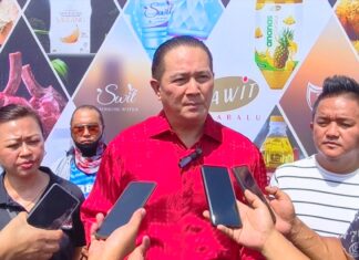 Pengumuman tambah kerusi Parlimen Sabah, Sarawak bukan sekadar gimik – Victor P Paut