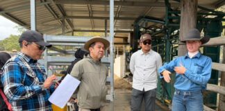 Sabah Aims to Strengthen Beef Cattle Industry with Premium Breeding Stock