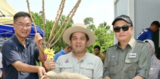 Sri Kanji berpotensi tingkat pendapatan pekebun