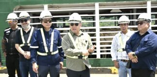Sabah terima 780 lembu pedaging dari Australia