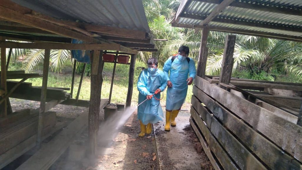 Disinfection of farmhouse in Pitas.