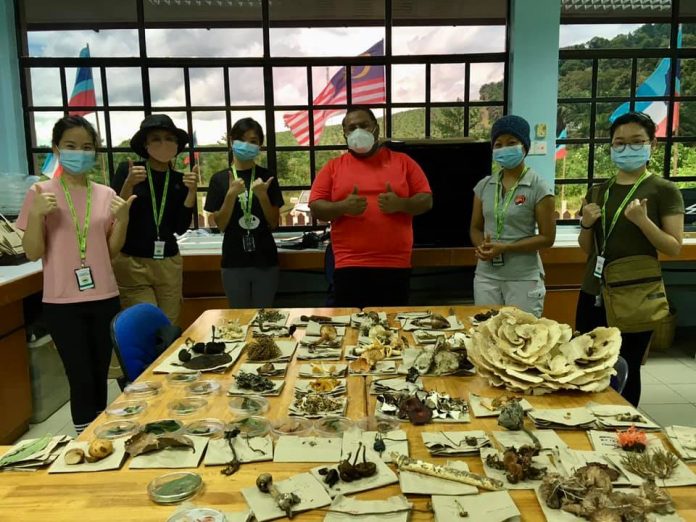 Dr. Jaya Seelan Sathiya bersama pasukan penyelidik cendawan.